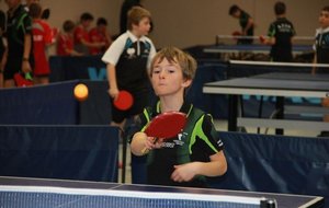 IMG_3484-01 (Copier).jpg