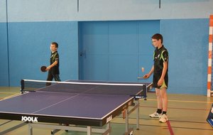 DSC01317 (Copier).JPG