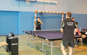 DSC01320 (Copier).JPG