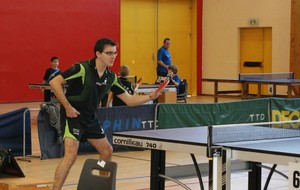 50d1bf120fd43_DSC03140 (Copier).JPG