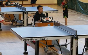 50d1bf22ca235_DSC03150 (Copier).JPG