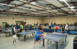 50fff4cc6088d_DSC03351 (FILEminimizer).JPG