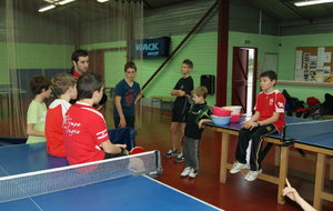 50fff82731914_DSC03366 (FILEminimizer).JPG