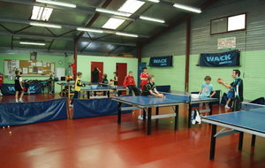 50fff909d9278_DSC03104 (FILEminimizer).JPG