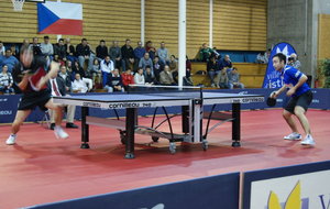 51470ef14a045_DSC03403 (FILEminimizer).JPG