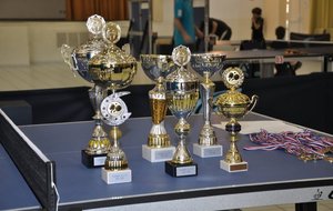 Tournoi interne A.T.T.P. du 14 Avril 2013