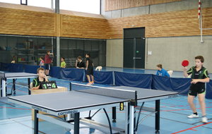 Equipe 1 en cadet-Joueur Grégory SULTANIAN