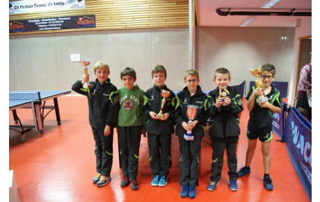  LES BENJAMINS DE L'ATTP ONT DOMINES LE TOP DETECTION 2015